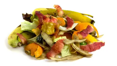 From trash to trend: How Indian chefs are turning kitchen scraps into gourmet flavors