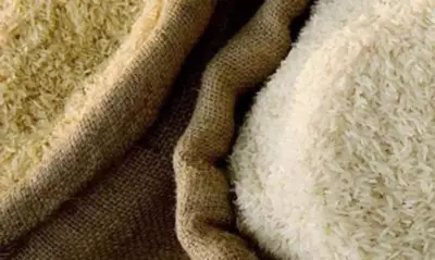 Low Rice Price: తక్కువ ధరకే బియ్యం అమ్మకాలు.. రేపటి నుంచే అందుబాటులోకి.