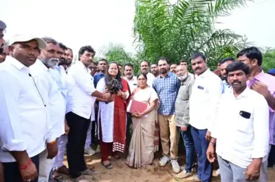 వరి వద్దు.. ఆయిల్ పామ్ ముద్దు:కలెక్టర్