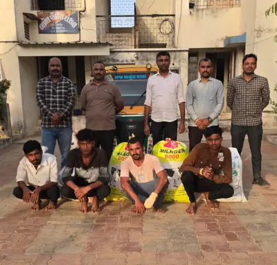 વિજાપુર લાડોલ પોલીસે એરંડા ચોરીનો ભેદ ઉકેલ્યો ચાર શખ્સો ઝડપાયા : રૂ.2.29 લાખનો મુદ્દામાલ કબજે