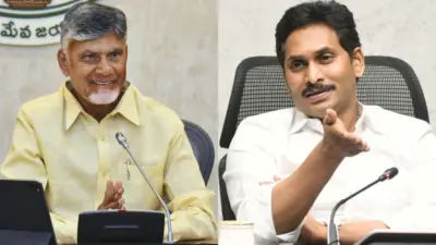 What Is Naidu's Contribution To Hyderabad IT?