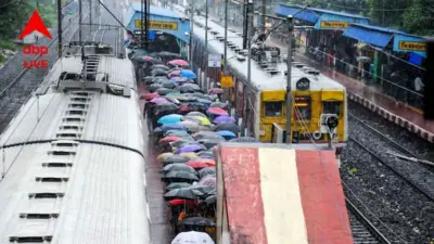 Rail News: ৮৮ কিমি বেগে ঝোড়ো হাওয়া, উপড়ে পড়ল গাছ, বন্ধ শিয়ালদা-বনগাঁ শাখায় ট্রেন চলাচল