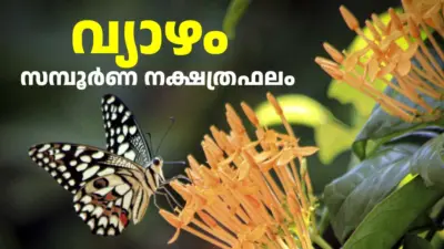Horoscope Today: അവിട്ടം തവിട്ടിലും നേടും! ഇന്ന് വിജയങ്ങള് തേടിയെത്തുന്ന നാളുകാര് | സമ്പൂര്ണ നക്ഷത്രഫലം