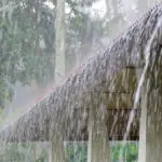 കാലവര്ഷം ഇന്നെത്തും