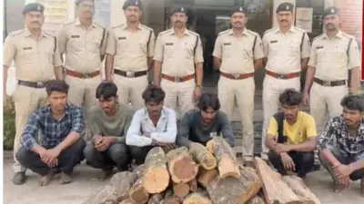 माधवनगर पुलिस ने जिला स्तरीय चंदन चोर गिरोह का किया पर्दाफाश, छह आरोपी गिरफ्तार