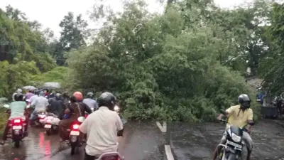 மதுரை மாவட்டத்தில் கன மழை!