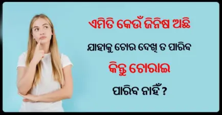 ଆଇଏଏସ ଇଣ୍ଟରଭିୟୁର ପ୍ରଶ୍ନ- ତାହା କଣ ଯାହାକୁ ଚୋର ଦେଖିତ ପାରିବ କିନ୍ତୁ ଚୋରୀ କରି ପାରିବ ନାହିଁ?