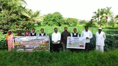 कोल्हापुर: कोगील बुद्रुक में सोयाबीन और धान की फसल का निरीक्षण