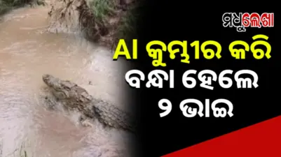AI କୁମ୍ଭୀର କରି ବନ୍ଧା ହେଲେ ୨ ଭାଇ