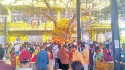 కల్పవృక్షానికి రక్షణ కరువు