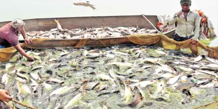 మత్స్యకారులకు రూ.5 లక్షల ప్రమాద బీమా..!