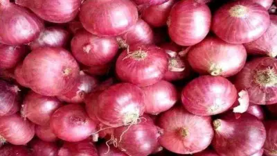 ऑनियन एक्सप्रेस' नाशिकहून ८०० टन कांदा घेऊन चेन्नईकडे रवाना