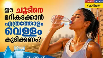 Heatwave Hydration: ഈ ഉഷ്ണതരംഗത്തില് നിങ്ങള്ക്ക് ശരിക്കും എത്ര അളവില് വെള്ളം ആവശ്യമാണ്? അധികമായാല് ശരീരത്തിന് തിരിച്ചടിയാകാം!