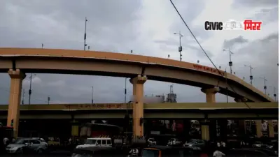 Pimpri-Chinchwad : नाशिक फाटा उड्डाणपूल ठरतोय 'पांढरा हत्ती'.