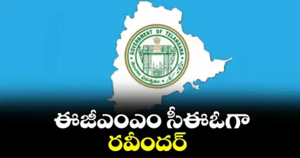 ఈజీఎంఎం సీఈఓగా రవీందర్