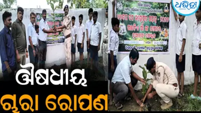 ପରିବେଶର ସନ୍ତୁଳନ ରକ୍ଷା ନିହାତି ଆବଶ୍ୟକ: ଔଷଧୀୟ ଚାରା ରୋପଣ