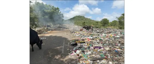 MDA, MCC begin clearing garbage near Chamundi Hill