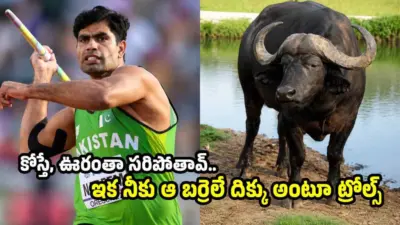 పాతాళానికి పడిపోయిన అర్షద్ నదీమ్..80 మీటర్లు కూడా విసరలేదంటూ