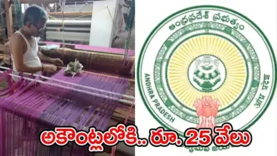 ఈ నెల 20లోగా నేతన్న అకౌంట్లలో రూ.25వేలు జమ