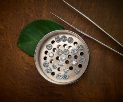 Lab-grown diamonds: A new trend, cheaper jewellery, govt backing