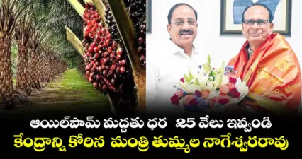 ఆయిల్పామ్ మద్దతు ధర 25 వేలు ఇవ్వండి.. కేంద్రాన్ని కోరిన మంత్రి తుమ్మల నాగేశ్వరరావు