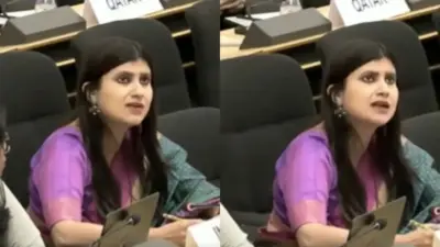 'ఫ్రాంకెన్స్టైన్ దేశం' పాకిస్థాన్పై ఐక్యరాజ్యసమితిలో భారత్ నిప్పులు