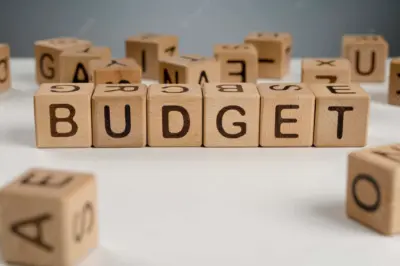 Post Budget Expectation 2025 | Startup Sector & VC | Lead Angels