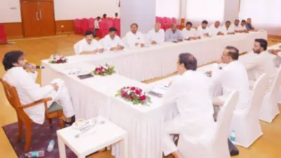 Pawan Goes Babu Way, Ranks MLAs