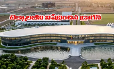 అమర రాజాకు 'చైనా' కష్టాలు