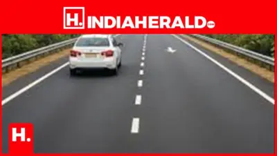 What Do Road Lines Mean? A Simple Guide for Everyday Drivers
