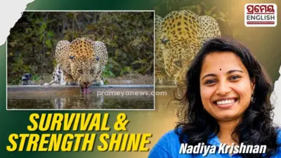 Masterful Lens Captures Unbroken Spirit of Wounded Predator