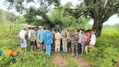 Gumla News : जंगली हाथी के कुचलने से वृद्ध की मौत