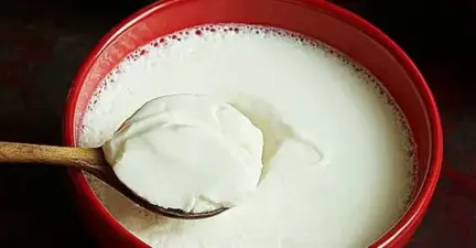 தயிர் மற்றும் பச்சை வெங்காயத்தை அப்படியே சாப்பிடுவதால் நேரும் நன்மை தீமைகள்