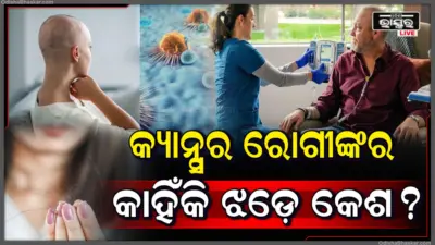 କ୍ୟାନ୍ସର ଚିକିତ୍ସା ସମୟରେ କାହିଁକି ଝଡ଼େ କେଶ, ବିଶେଷଜ୍ଞଙ୍କଠାରୁ ଜାଣନ୍ତୁ ଜରୁରୀ କଥା