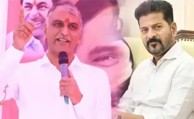 పాలమూరు తలరాత మార్చింది కేసీఆర్ - హరీశ్