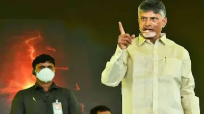 పవన్ పై విమర్శలు ఆపండి.. తెలంగాణ నాయకులపై చంద్రబాబు ఫైర్!
