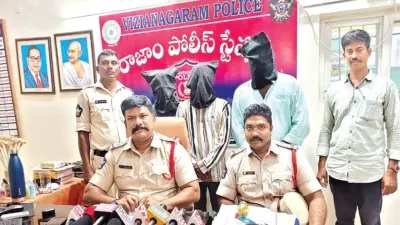 బెయిల్పై వచ్చి.. బెంబేలెత్తించి..