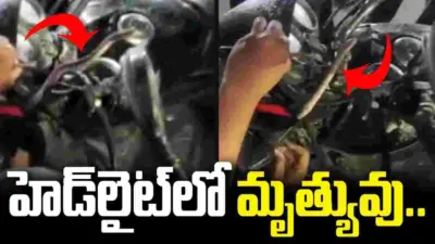బైక్ హెడ్లైట్లో చప్పుడు.. ఏముందా అని చూడగా.. చివరకు షాకింగ్ సీన్