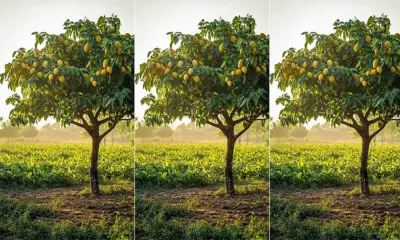 Life: ಬದುಕು... ನೂರು ನೂರು ತರಹ