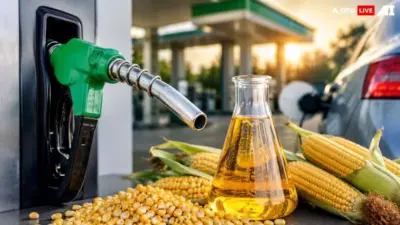 Govt Breaks Silence On E20 Ethanol 'Experiment' Reports Following Supreme Court Hearing