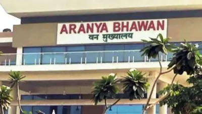 छत्तीसगढ़ में वन विभाग की ट्रांसफर लिस्ट जारी : 60 से ज्यादा अफसर इधर-उधर; जानिए किसे मिली कहां की जिम्मेदारी