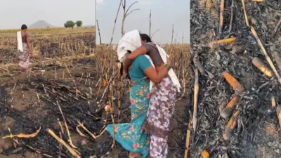 అన్నదాతల కన్నీరు తుడవనున్న సర్కార్.. తక్షణమే సహాయం అందించాలని సీఎం ఆదేశం
