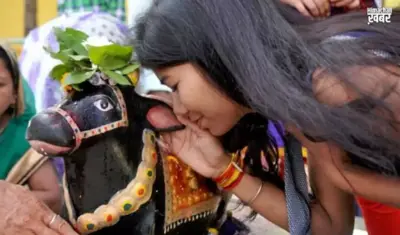 नंदीˈ के कान में ऐसे बोलनी चाहिए अपनी मनोकामना जान लें सही तरीका तभी मिलेगा फल