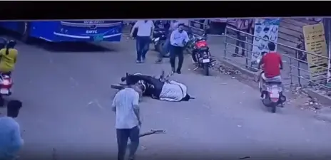 బైక్పై వెళ్తుండగా తలపై పడ్డ ఎండిన చెట్టు కొమ్మ.. కోమాలోకి వెళ్లిన వ్యక్తి!