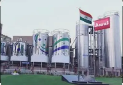 Amul, Yogart factory, রাজ্যে বিপুল বিনিয়োগ করছে আমূল, বিশ্বের বৃহত্তম দই- এর কারখানা হবে বাংলায়, হবে কর্মসংস্থান