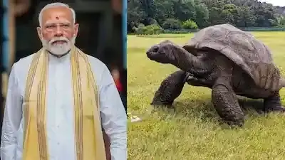 సీషెల్స్ పర్యటనలో 194 ఏళ్ల గిన్నిస్ రికార్డ్ తాబేలును కలవనున్న మోదీ!