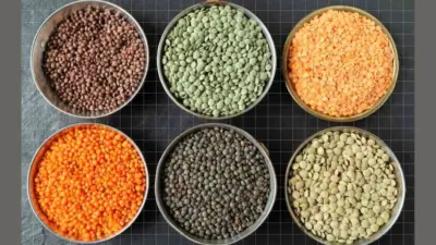 Protein In Dal: इन 7 दालों में है प्रोटीन का खजाना, आज ही करें डाइट में शामिल
