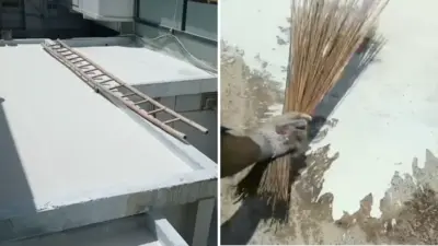 गर्मी में छत पर सफेद चूना क्यों लगाएं? सिविल इंजीनियर ने बताया, 5 डिग्री कम होगा तापमान, AC की नहीं पड़ेगी जरूरत