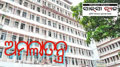 ଅମର ବର ପାଇଛି ଅମଲା