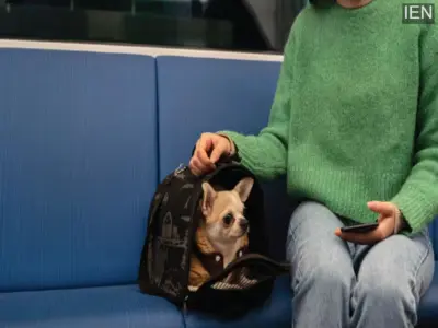 Metro Rule: Can you take pets on the metro? Here's what the rules say.